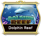 Dolphin Reef