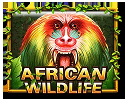 African Wildlife