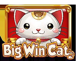 Big Win Cat