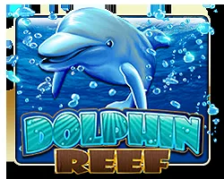 Dolphin Reef