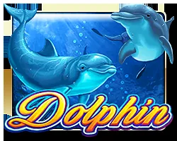 Dolphin