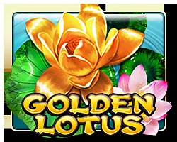 Golden Lotus