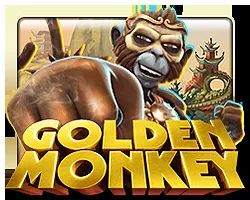 Golden Monkey