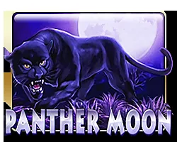 Panther Moon