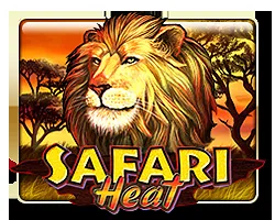 Safari Heat