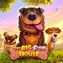 The Big Dog House