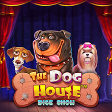 The Dog House Dice Show