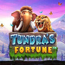 Tundra's Fortune