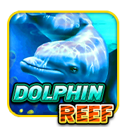 Dolphin Reef